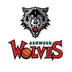 Ashwood Wolves Basketball Club