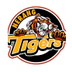Nerang Oztag