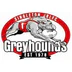 Singleton Junior Rugby League Club Inc. (Group 21 JRL)