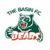 The Basin Football & Netball Club