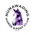 Nunawading District Horse & Pony Club