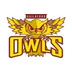 Guildford Owls Junior Rugby League