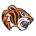Cove Tigers Netball Club