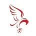 Lilydale Eagles Soccer Club