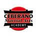 Ceberano Martial Arts Academy - Canterbury