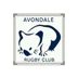 Avondale Wombats Rugby Union Club