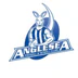 Anglesea Football & Netball Clubs