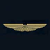 Schofields Flying Club Ltd