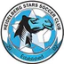 Heidelberg Stars Soccer Club