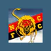 Newtown-Condingup Football Club