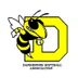 Dandenong Softball Association