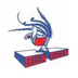 Buln Buln Football Club