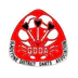 Gladstone District Darts Association Inc