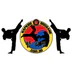 Steve's Hapkido Academy