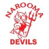 Narooma Devils (Group 16 Rugby League)