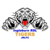 Ingleburn RSL Tigers JRLFC
