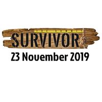 The Summit Survivor
