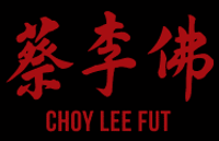 Children's Choy Lee Fut Kung Fu - Sifu Paul Nomchong