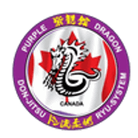 Purple Dragon Martial Arts Kingsville