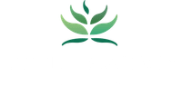 Little Saigon Plaza Bankstown
