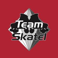 Team Skatel Artistic Roller Skating Club