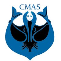 CMAS Underwater Hockey