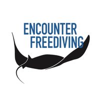 Encounter Freediving