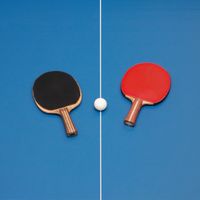 Para Table Tennis