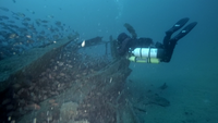 Blue Water Scuba