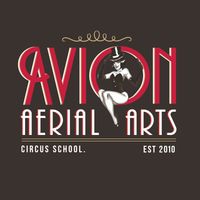 Avion Aerial Circus School