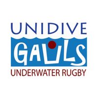 Unidive Gauls