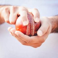 Indoor Cricket