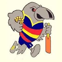 Kawana Indoor Sports