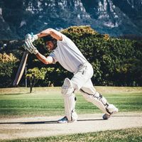 Cricket