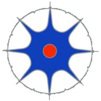 Shodokan Aikido Sydney