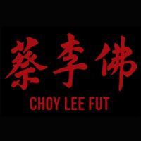 Chan Family Choy Lee Fut Kung Fu & Lohan Qigong