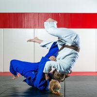 Jiu Jitsu
