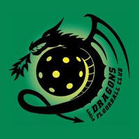 Perth Dragons Floorball Club