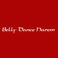 Belly Dance Harem