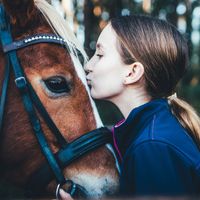 Equestrian