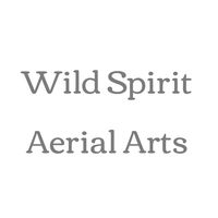 Wild Spirit Aerial Arts