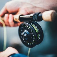 Fishing