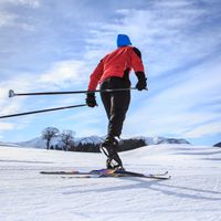 Cross Country Skiing
