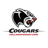 Collaroy Cougars Rugby Club