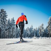 Nordic Skiing