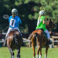Polocrosse