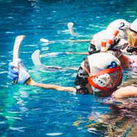 Underwater Hockey