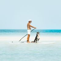 Stand Up Paddleboarding