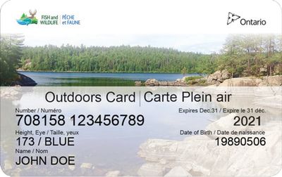 Mattice Lake Outfitters