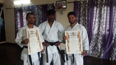 Shotokan Karate Do International Organization